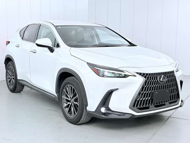 レクサス ＮＸ２５０ ２５０ R5年 (関東) 99