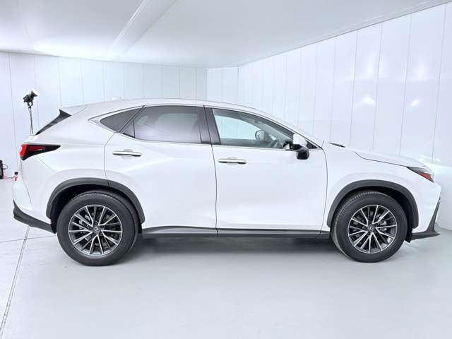レクサス ＮＸ２５０ ２５０ R5年 (関東) 99