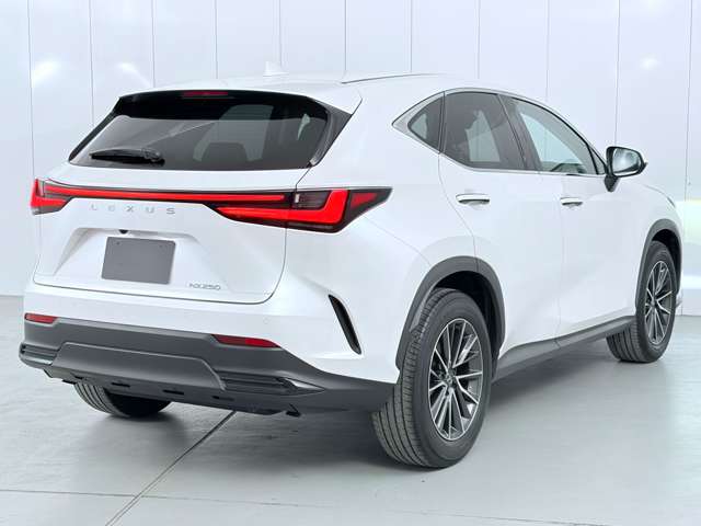 レクサス ＮＸ２５０ ２５０ R5年 (関東) 99