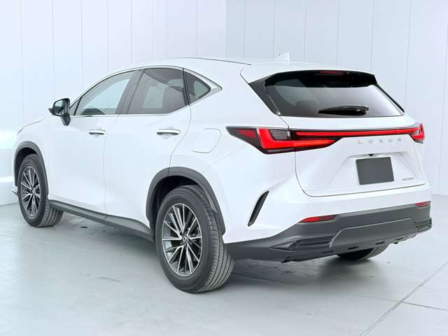 レクサス ＮＸ２５０ ２５０ R5年 (関東) 99