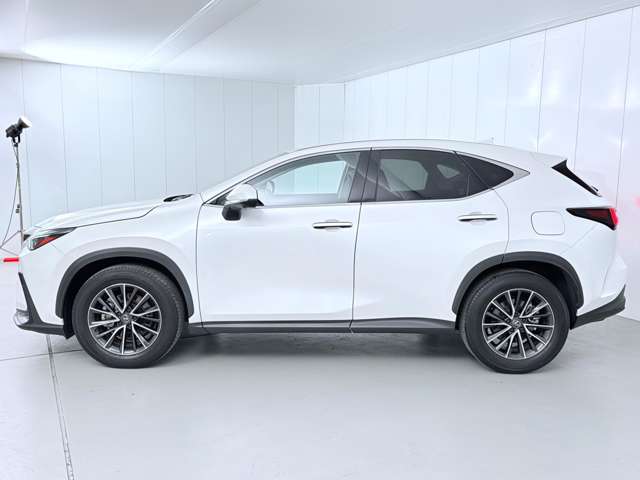 レクサス ＮＸ２５０ ２５０ R5年 (関東) 99