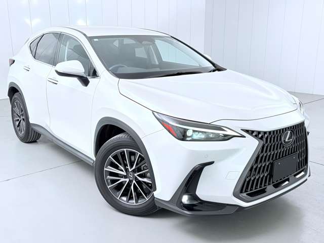 レクサス ＮＸ２５０ ２５０ R5年 (関東) 99