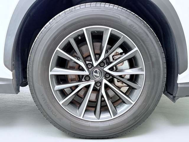 レクサス ＮＸ２５０ ２５０ R5年 (関東) 99