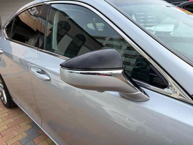 レクサス ＥＳ３００ｈ バージョンＬ R2年 (九州・沖縄) 99