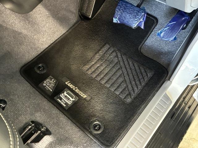 トヨタ ランドクルーザー７０ ２．８ ＡＸ ディーゼルターボ ４ＷＤ R6年 (中国) 99