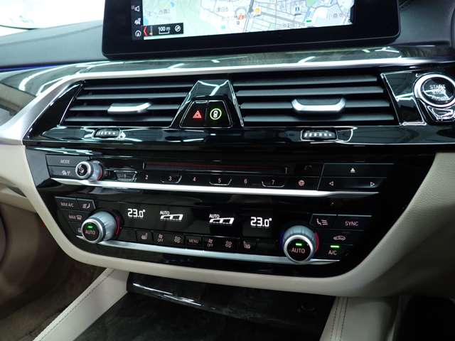 ＢＭＷ ５シリーズ ５２３Ｉ ラグジュアリー H29年 (九州・沖縄) 99