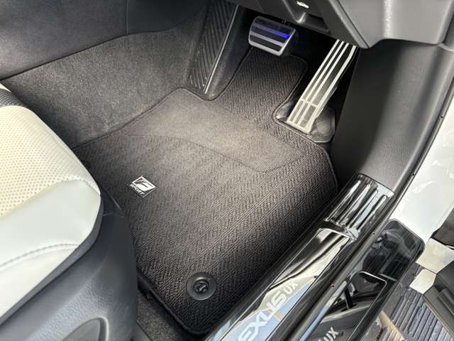 レクサス ＵＸ２５０ｈ Ｆスポーツ R2年 (近畿) 99