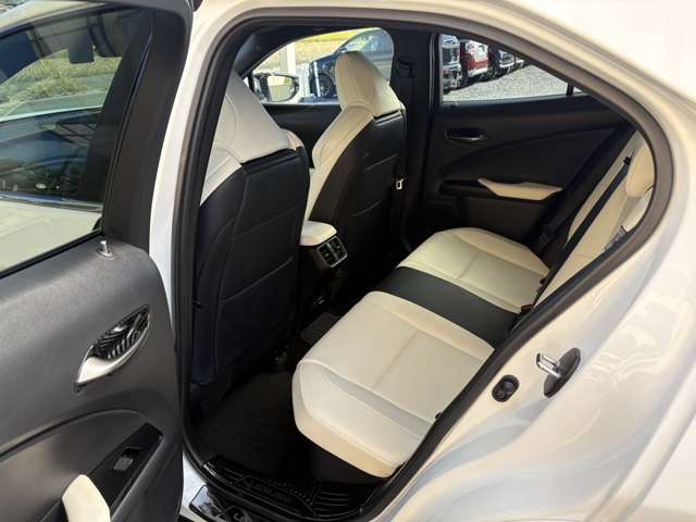 レクサス ＵＸ２５０ｈ Ｆスポーツ R2年 (近畿) 99