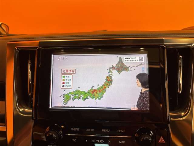 トヨタ アルファード ２．５ Ｓ タイプゴールド R2年 (近畿) 99