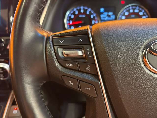トヨタ アルファード ２．５ Ｓ タイプゴールド R2年 (近畿) 99