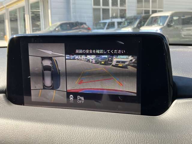 マツダ ＣＸ−８ ２．５ ２５Ｓ プロアクティブ H30年 (関東) 99