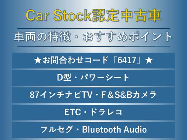 スバル レヴォーグ １．６ ＧＴ－Ｓ アイサイト ４ＷＤ H29年 (東海) 99