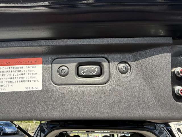 三菱 デリカ　Ｄ：５ ２．２ Ｄ プレミアム ディーゼルターボ ４ＷＤ H25年 () 99
