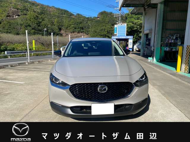 マツダ ＣＸ−３０ ２．０ ２０Ｓ ブラック セレクション R8年 (近畿) 99