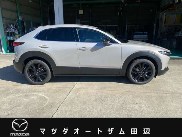 マツダ ＣＸ−３０ ２．０ ２０Ｓ ブラック セレクション R8年 (近畿) 99
