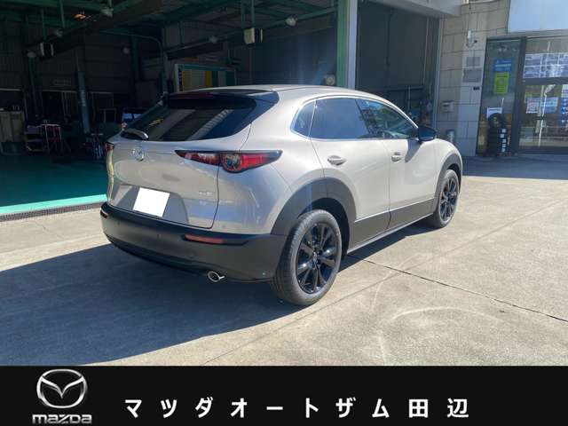 マツダ ＣＸ−３０ ２．０ ２０Ｓ ブラック セレクション R8年 (近畿) 99
