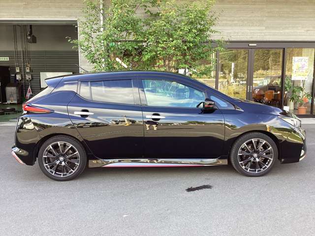 日産 リーフ ＮＩＳＭＯ R1年 (東北) 99