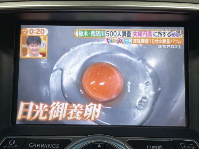 日産 スカイライン ２．５ ２５０ＧＴ H19年 () 99