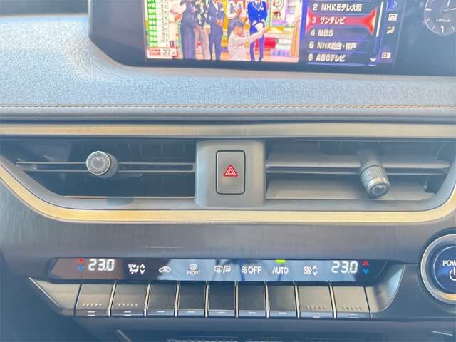 レクサス ＵＸ２５０ｈ バージョンＬ R1年 (近畿) 99