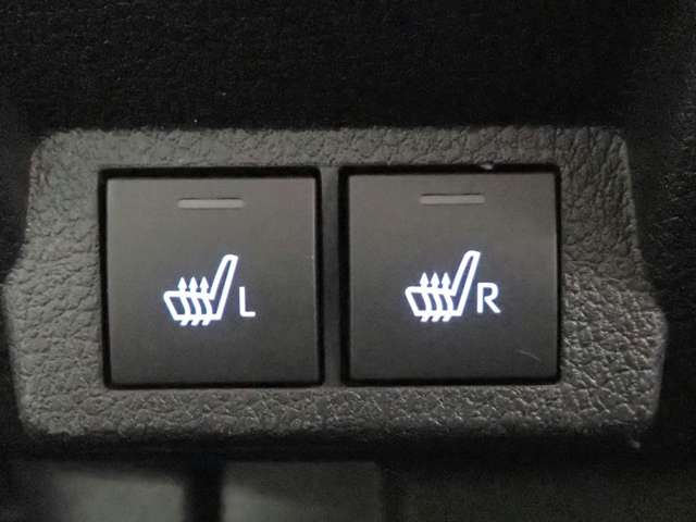 ダイハツ ムーヴ　キャンバス ６６０ ストライプス Ｇターボ R4年 () 99