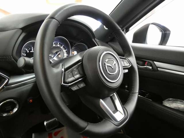 マツダ ＣＸ−８ ２．５ ２５Ｔ プロアクティブ ４ＷＤ R1年 (東北) 99