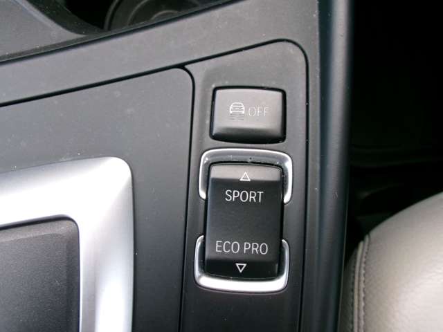 ＢＭＷ １シリーズ １１８ｄ　スタイル H29年 (九州・沖縄) 99