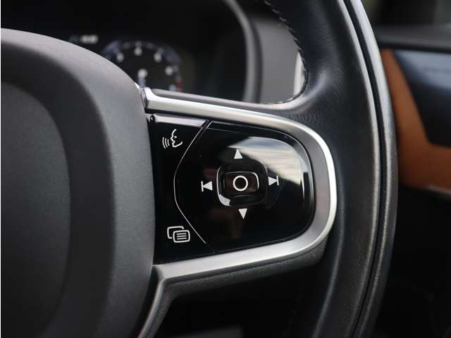 ボルボ ＸＣ９０ Ｔ６ ＡＷＤ インスクリプション ４ＷＤ H30年 (東海) 99