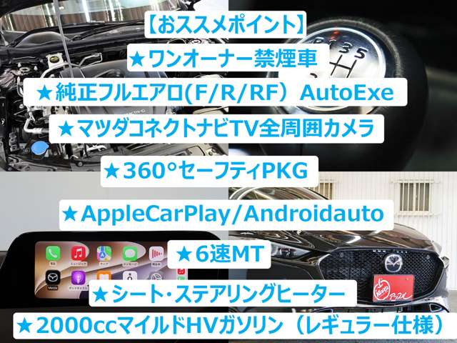 マツダ ＭＡＺＤＡ３　ファストバック ２．０ ２０Ｓ ブラックトーンエディション R5年 (東海) 99