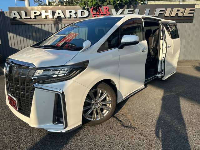 トヨタ アルファード ２．５ Ｓ タイプゴールド R2年 (関東) 99