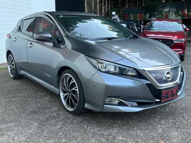 日産 リーフ Ｇ H30年 (関東) 99
