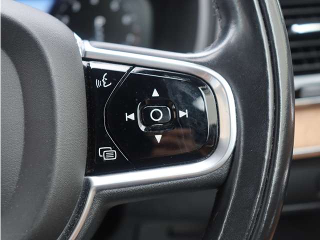 ボルボ ＸＣ９０ Ｔ６ ＡＷＤ インスクリプション ４ＷＤ H30年 (関東) 99