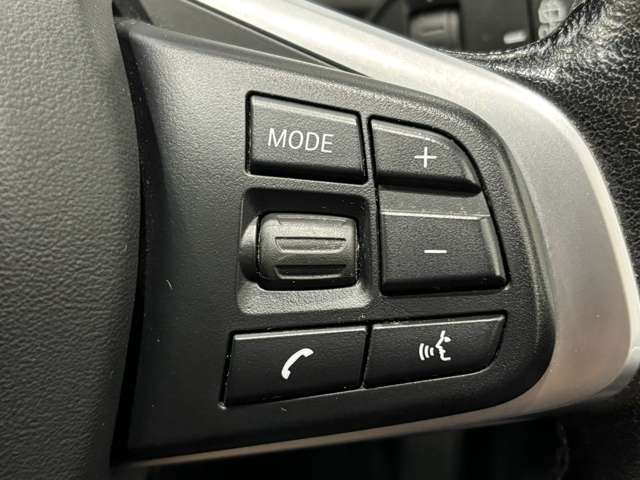 ＢＭＷ Ｘ１ Ｘドライブ １８Ｄ Ｘライン ４ＷＤ R4年 () 99