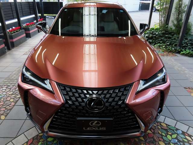 レクサス ＵＸ３００ｈ バージョンＬ R7年 (関東) 99