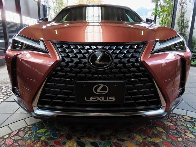 レクサス ＵＸ３００ｈ バージョンＬ R7年 (関東) 99