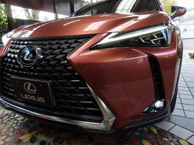 レクサス ＵＸ３００ｈ バージョンＬ R7年 (関東) 99