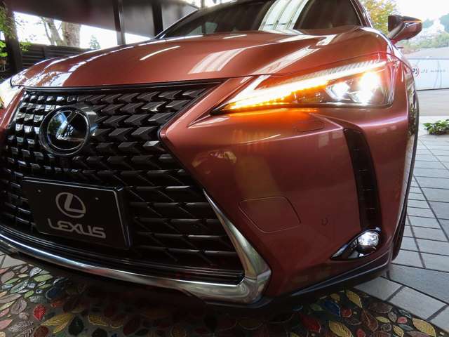 レクサス ＵＸ３００ｈ バージョンＬ R7年 (関東) 99