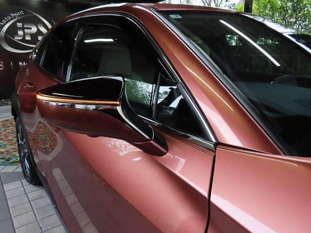 レクサス ＵＸ３００ｈ バージョンＬ R7年 (関東) 99