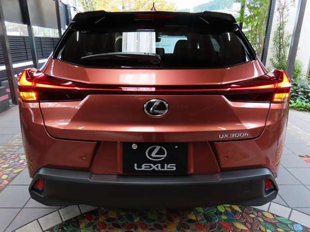 レクサス ＵＸ３００ｈ バージョンＬ R7年 (関東) 99