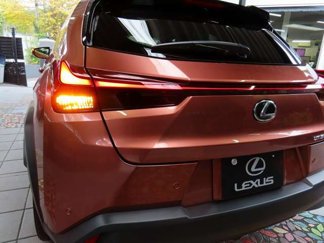 レクサス ＵＸ３００ｈ バージョンＬ R7年 (関東) 99