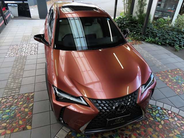 レクサス ＵＸ３００ｈ バージョンＬ R7年 (関東) 99
