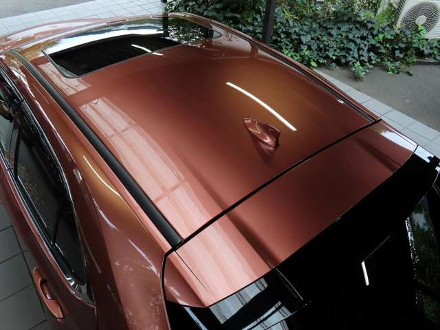 レクサス ＵＸ３００ｈ バージョンＬ R7年 (関東) 99