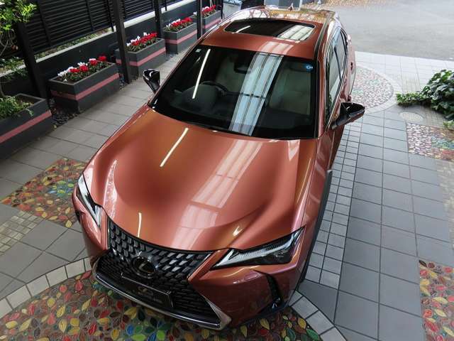 レクサス ＵＸ３００ｈ バージョンＬ R7年 (関東) 99