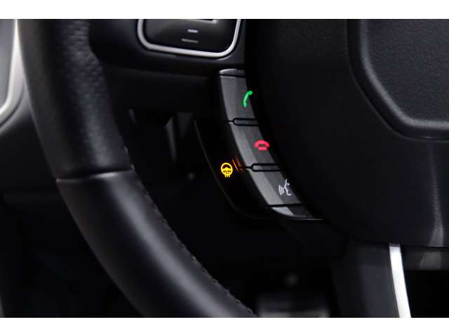 ランドローバー レンジローバーイヴォーク ＨＳＥ ダイナミック ２．０Ｌ Ｐ２４０ ４ＷＤ H30年 (関東) 99