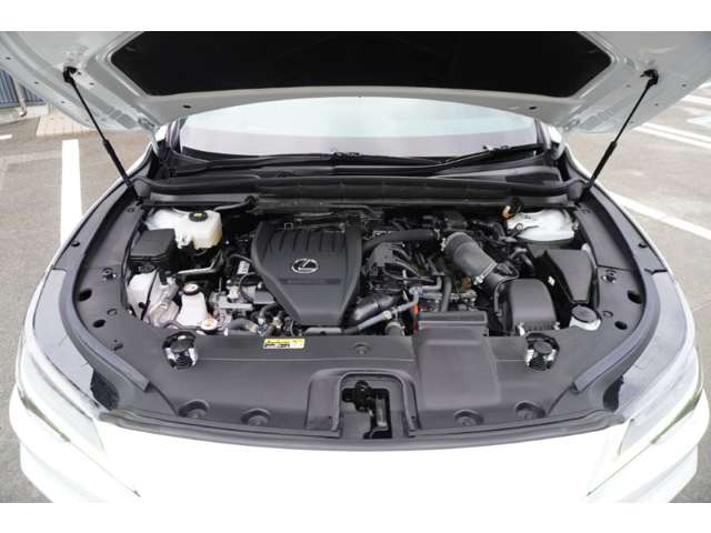レクサス ＲＸ５００ｈ ５００Ｈ Ｆスポーツ パフォーマンス ４ＷＤ R5年 (東北) 99