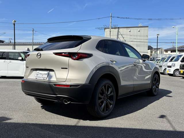 マツダ ＣＸ−３０ ２．０ ２０Ｇ R8年 (関東) 99