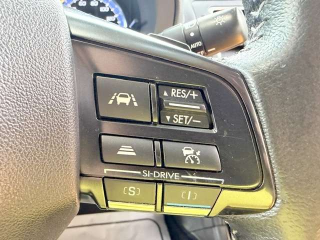スバル レヴォーグ １．６ ＧＴ アイサイト スマート エディション ４ＷＤ H29年 () 99