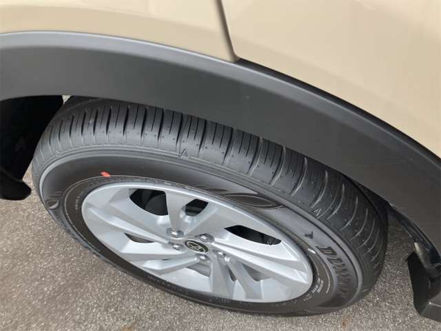 トヨタ ライズ　ハイブリッド ハイブリッド １．２ Ｇ R8年 (東海) 99