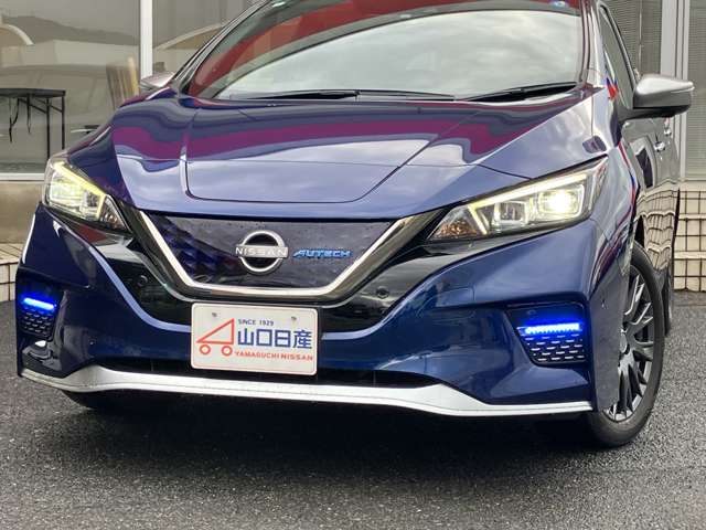 日産 リーフ ＡＵＴＥＣＨ R4年 (中国) 99