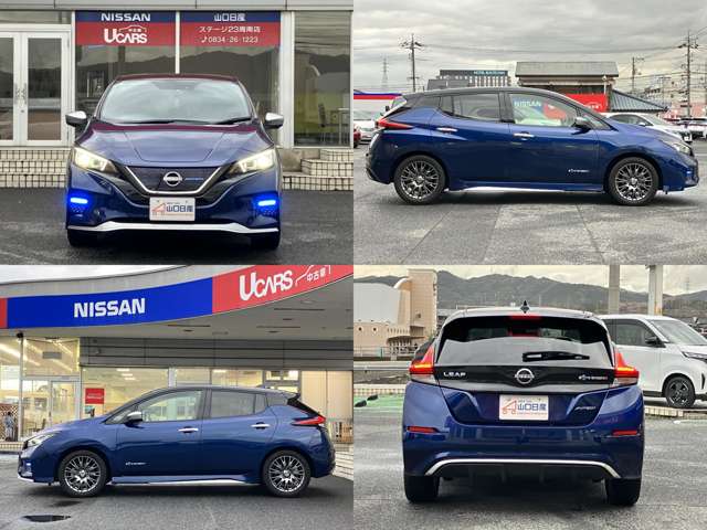 日産 リーフ ＡＵＴＥＣＨ R4年 (中国) 99