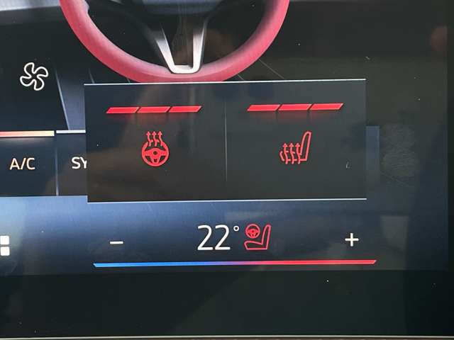 ＢＭＷ Ｘ２ Ｘドライブ２０Ｉ Ｍスポーツ ４ＷＤ R6年 (東海) 99